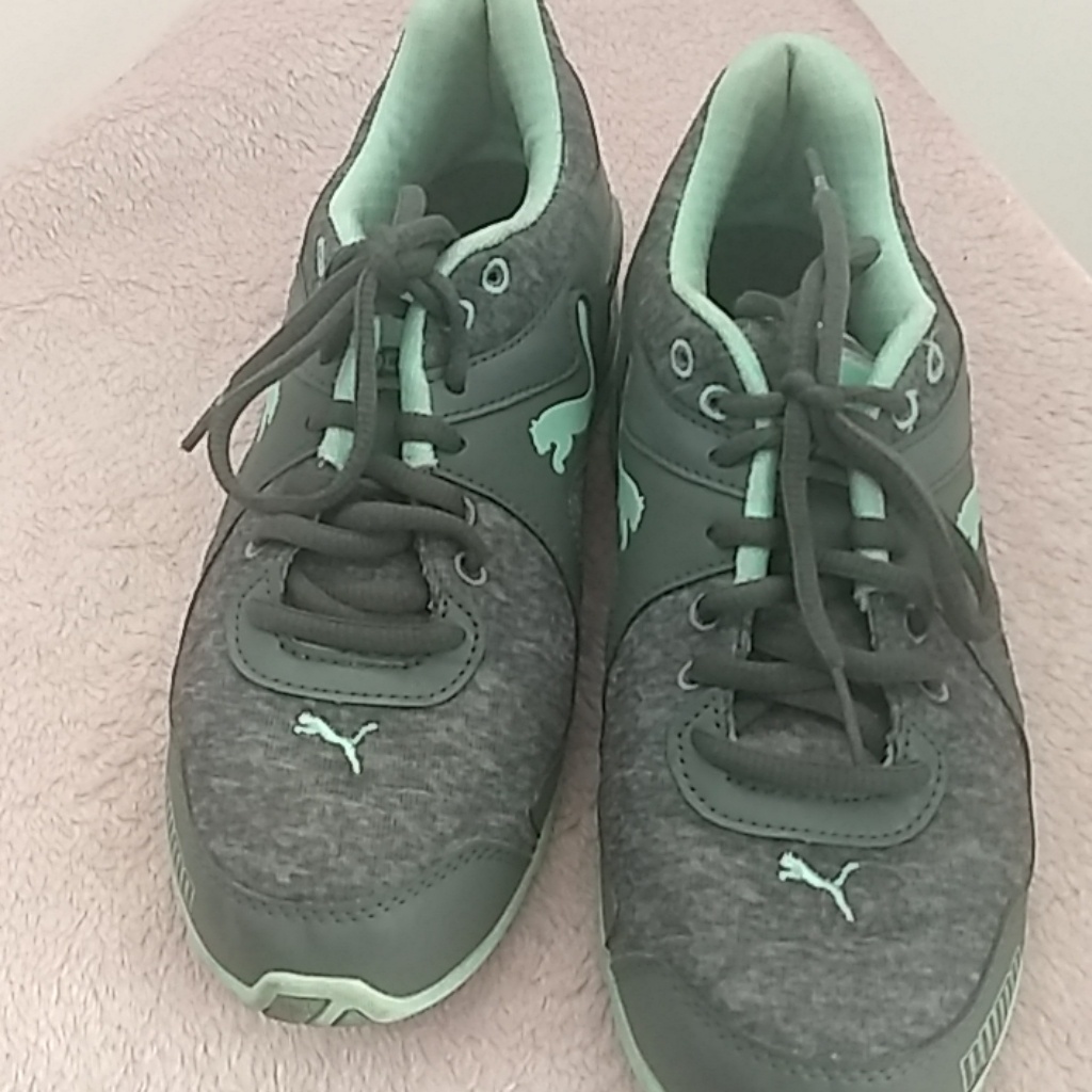 Puma 10 Cell 10